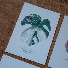 Cartolina di Monstera