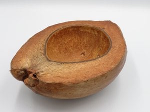 Natuurlijke schaal - Coco Half
