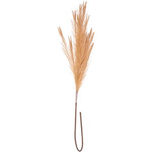 Pampas Dry, L104cm, Natur-Look