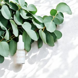 Eucalyptus Essential oil 10ml/0.34oz