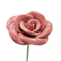Roos Lichtroze 4,5 cm