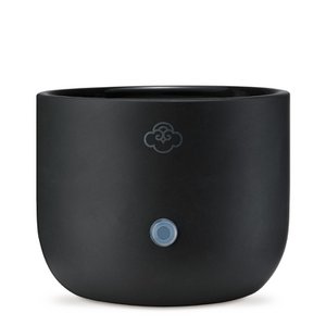 Serene House - Serene Pod® Wax Warmer - Sprout Black