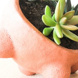 Emma Terracotta Plantekasse