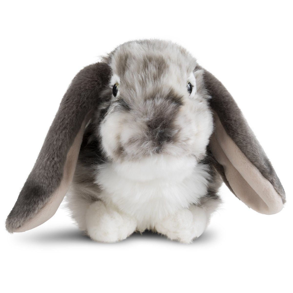 DUTCH LOP EARED RABBIT GREY 30cm Online Wholesale | Orderchamp