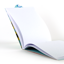 Flip Notes | Balloner