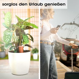 Terracotta Bewässerungshilfe handgefertigt - 330 ml