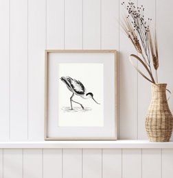 A black and white sketch of a bird, likely a wading bird or shorebird, with a long beak and distinctive feather patterns. The image has a minimalist, artistic style.