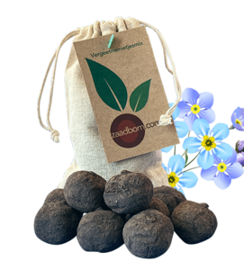 10 Samenbomben in einer Tüte: Vergissmeinnicht mischen