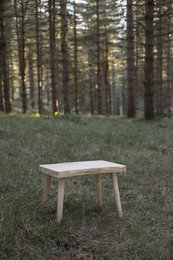Rustic wooden side table in a forest setting. Rectangular shape with simple, natural design.