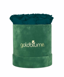 Colección Terciopelo Verde