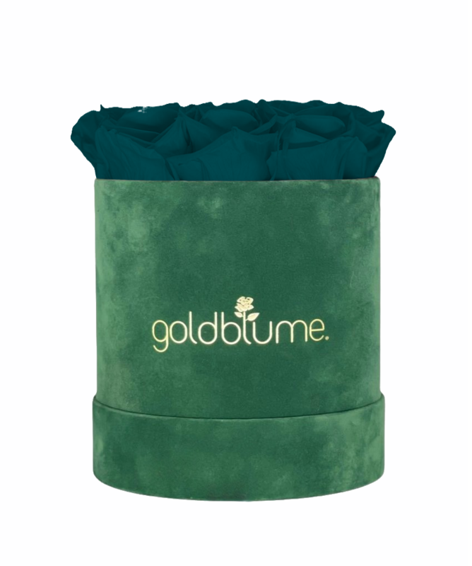 Colección Terciopelo Verde