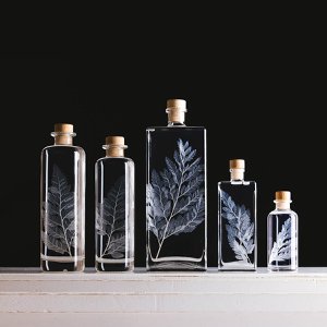 Het Herbarium - ondergedompelde plant Witte Ledervaren