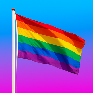 Regenboogvlag 90 x 150 cm | Pride vlag | LHBTI+