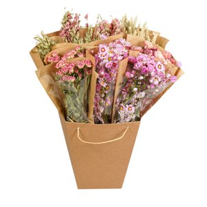 Droogbloemen Mono Mix - Roze