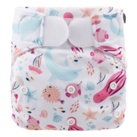 Zwemluier | Klittenband | Pacific