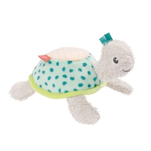 Bathing sponge turtle