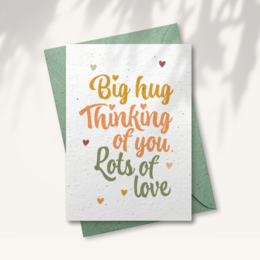 A greeting card with the text "Big hug thinking of you lots of love" in an orange and green color scheme. The card is placed in a terracotta plant pot with the text "Seeds inside!" visible.