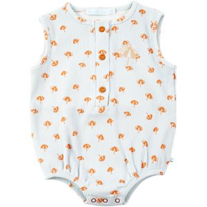 ZANDY ZOMERPAK