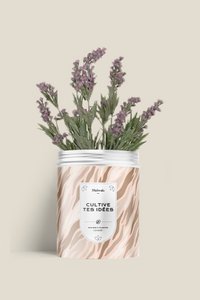 Samenkit - WACHSEN SIE IHRE IDEEN