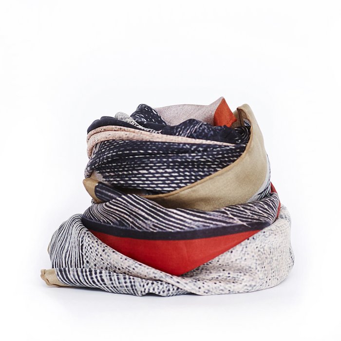 Museum Collection | Conus