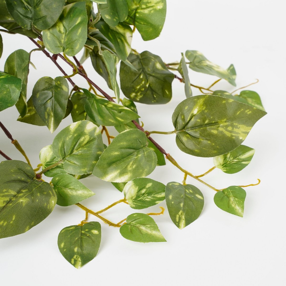 Kunst hangplant Scindapsus hanging Groen