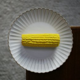 Fortov kridt majs