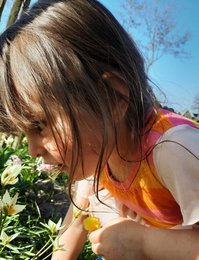 Vestido infantil rayas rosa | Kate