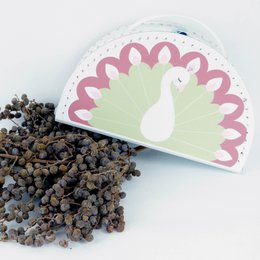 Koffer Pfau Retro OK 7207