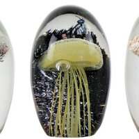 PAPIERGEWICHTEN MEDUSA 3-DELIGE SET (HOFF5294)