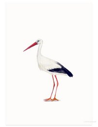 A white stork with a long red beak and black and white feathers, standing on long orange legs. This postcard is part of the Baby Cards category.