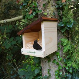 Aceite de protección contra la intemperie ERDENFREUND® Tierhaus