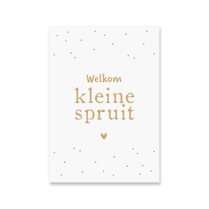 Kaart Kleine Spruit | Goudfolie