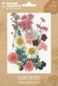 16 natuurlijke geperste bloemen roze weide - beschikbaar in april 2024