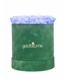 Colección Terciopelo Verde