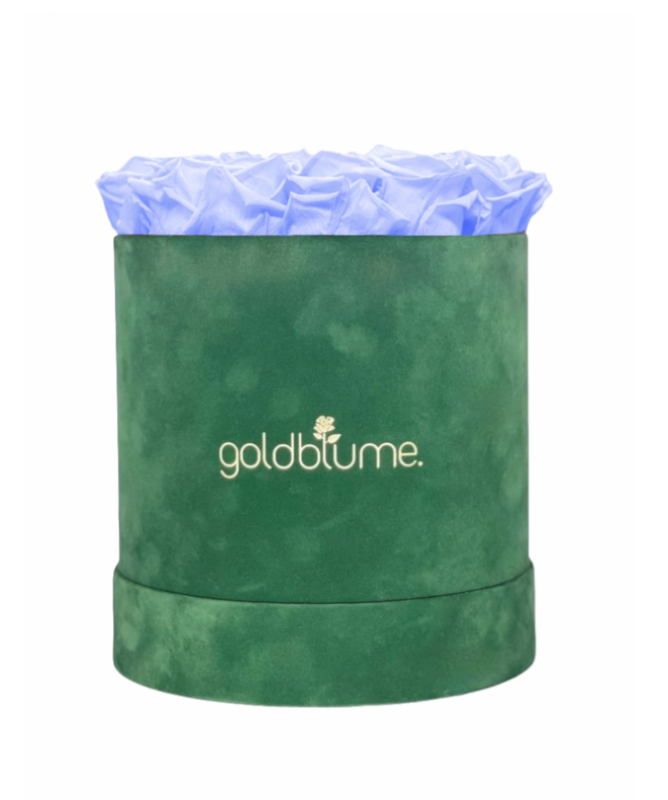 Colección Terciopelo Verde