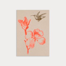  Eco-friendly postcard with hummingbird and flower design, printed on recycled paper.