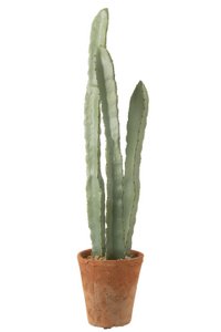 J-Line Cactus 3 Stuks In Pot Plastiek Groen Large