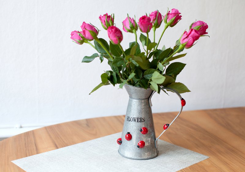 Trendform Magneten Ladybug - Set of 6