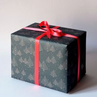 Geschenkpapier Night Forest