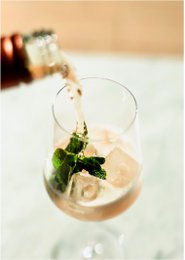 Aperitivo frizzante analcolico - 0,75l | GUUBII sambuco/limone