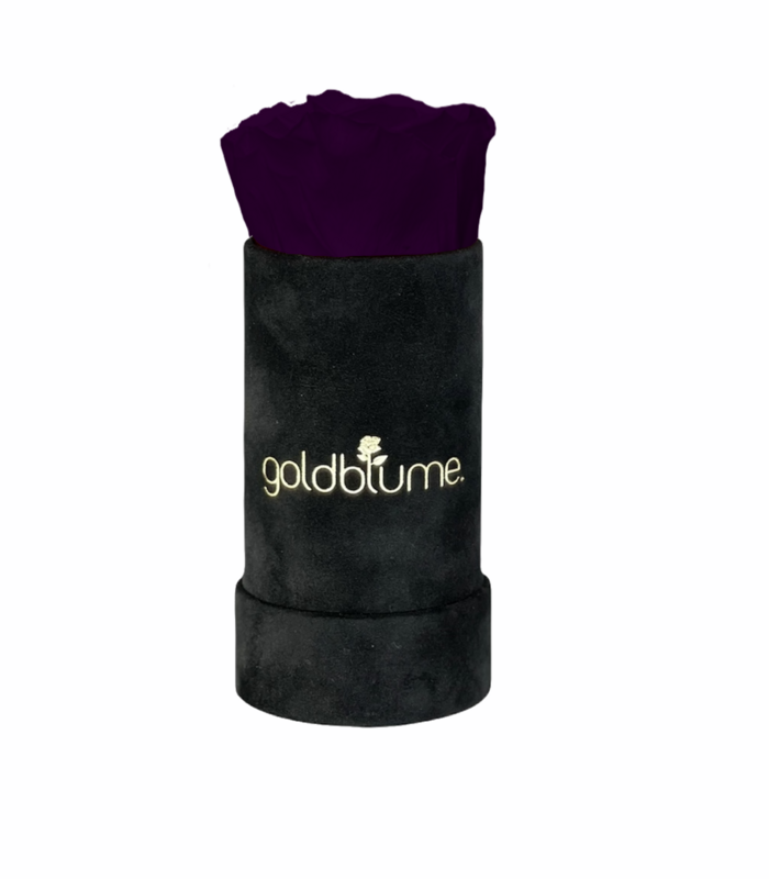 Velvet Black Collection