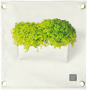 The Green Pockets® AMMA White