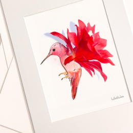 Kaktus-Kolibri - Art Prints
