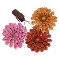 Dahlia's met clip, metaal