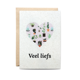 Postkarte + Umschlag Veel liefs!