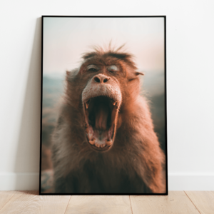 Plakataffe