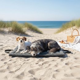 A gray travel mat for pets, available in sizes S, M, and L, suitable for dogs and cats to rest and sleep on during travel or at home.
