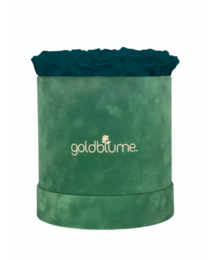 Colección Terciopelo Verde