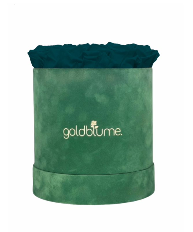Colección Terciopelo Verde
