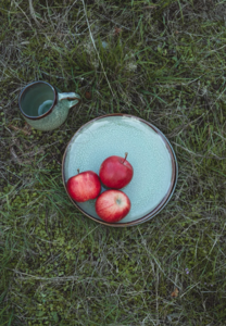 Evora Salad plate green